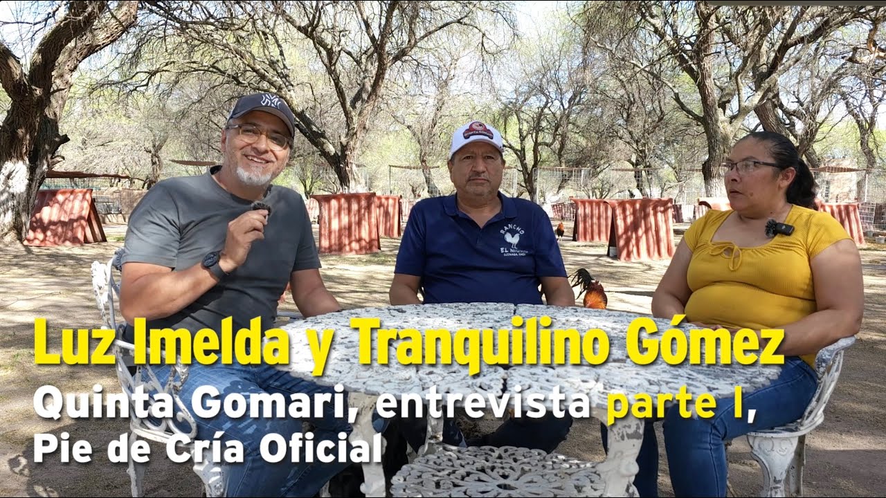 Luz Imelda y Tranquilino Gómez, Quinta Gomari, entrevista parte I, Pie de Cría Oficial