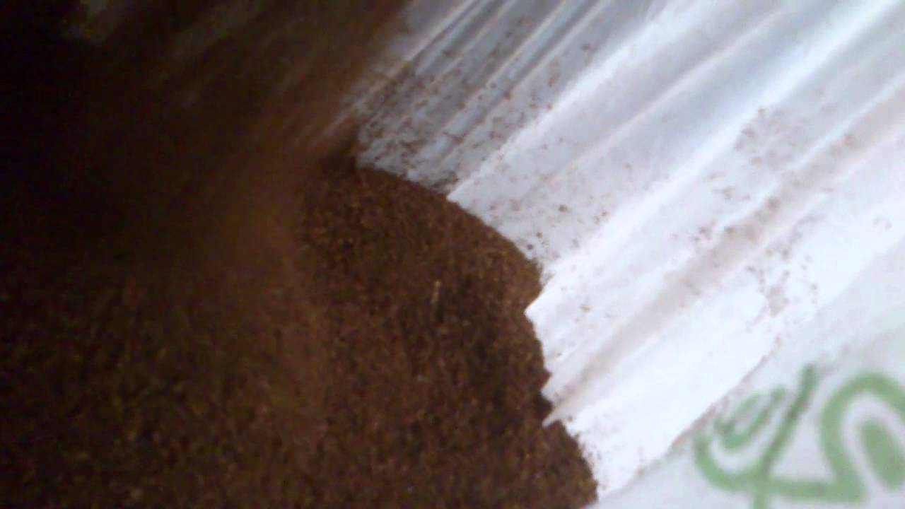 Ditting grinder