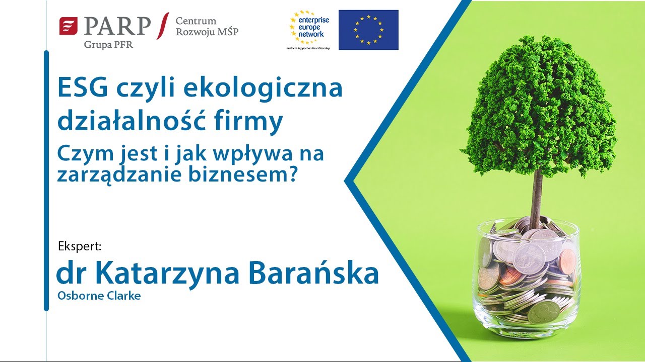 ESG czyli ekologiczna działalność firmy &mdash; czym jest i jak wpływa na zarządzanie biznesem?