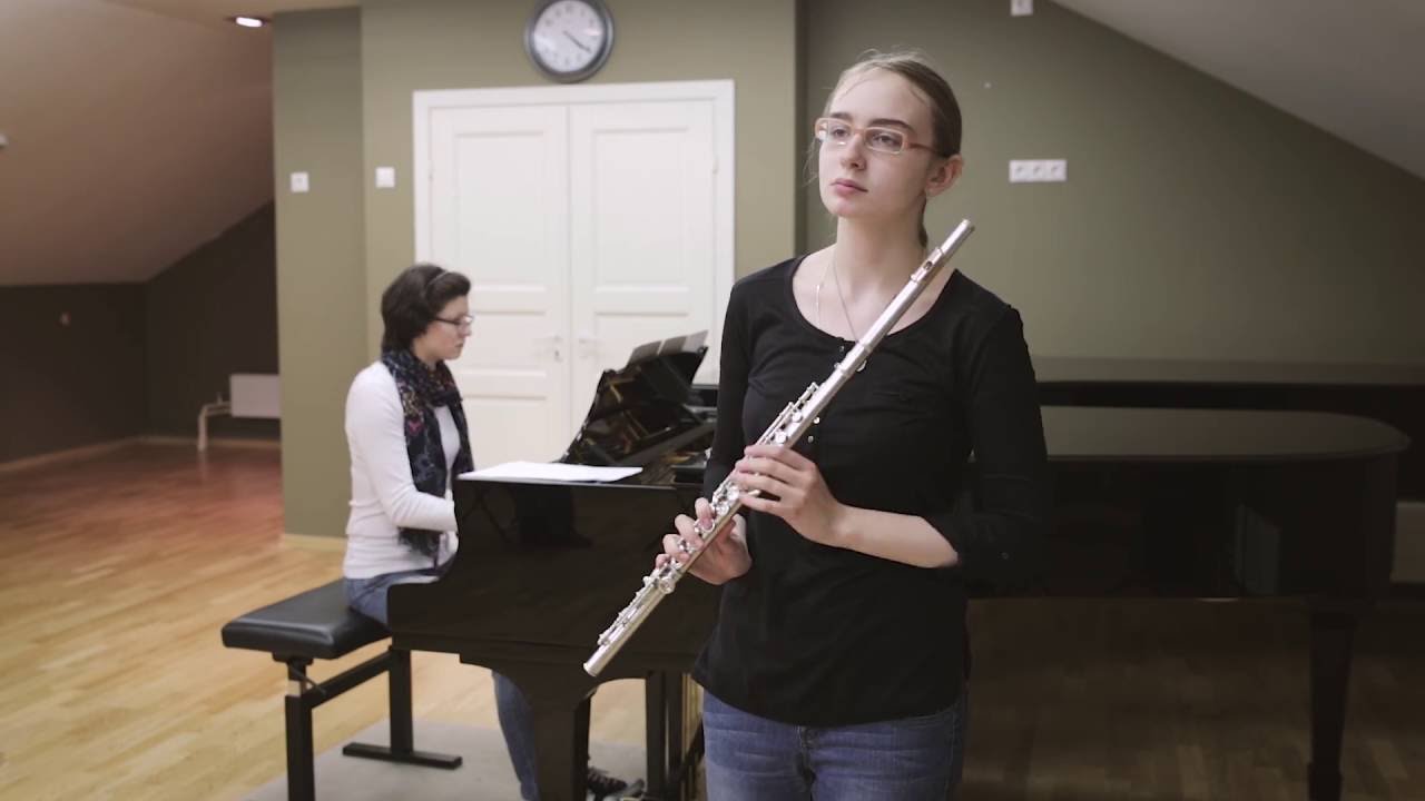 Carl REINECKE. Flute Concerto in D major, 1 mvt.
