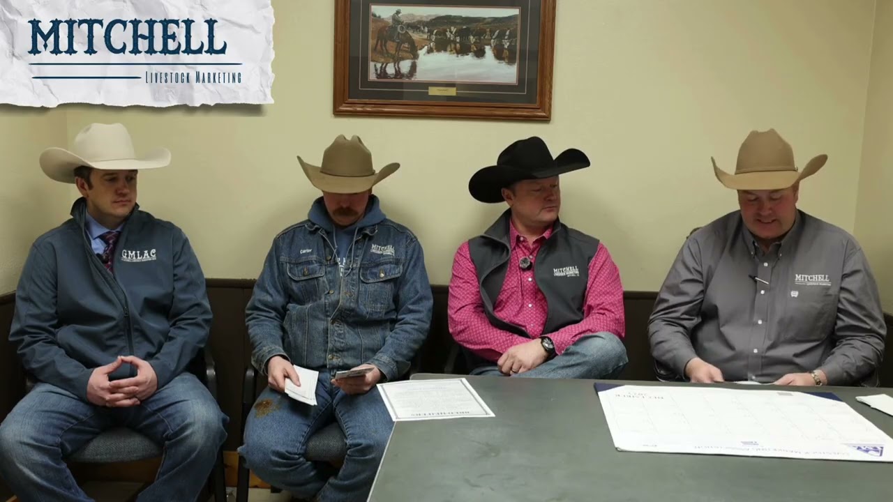 This week at Mitchell Livestock - January 21st & 22nd