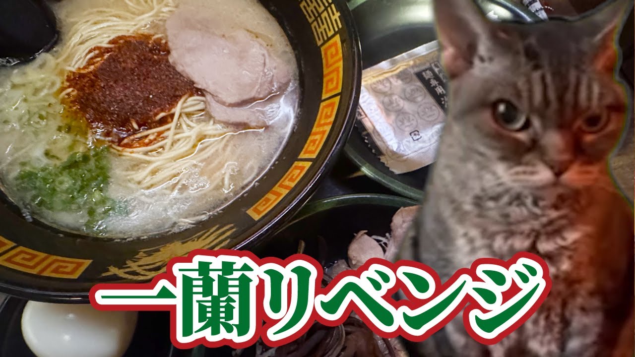 久々の一蘭リベンジをしたワイの何気ない日常 #猫マニ #猫ミーム