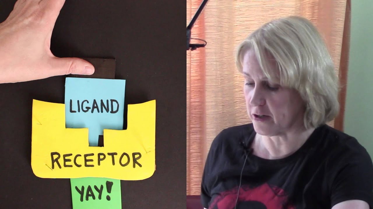 Receptors: Agonists & Antagonists