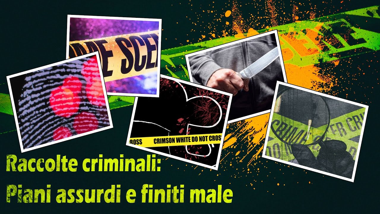 Raccolte criminali: Piani assurdi e finiti male (Vol.2)