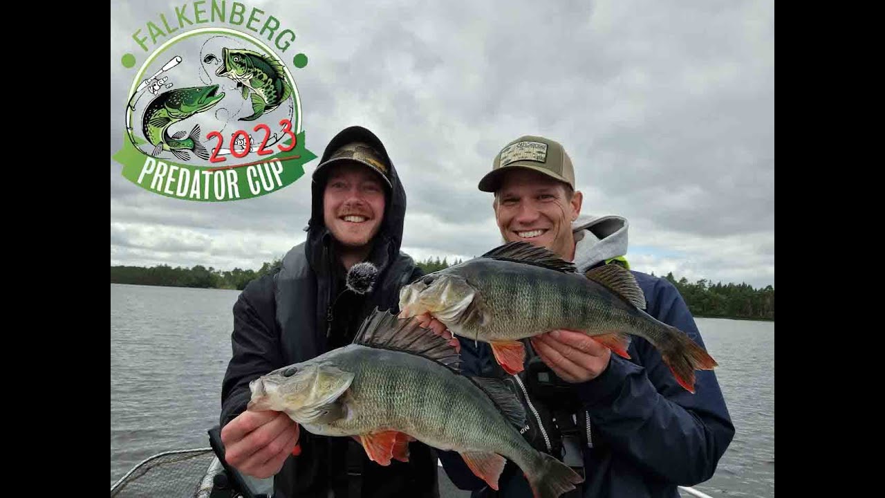 Tävling Abborre - Falkenberg Predatorcup del 3 insjö