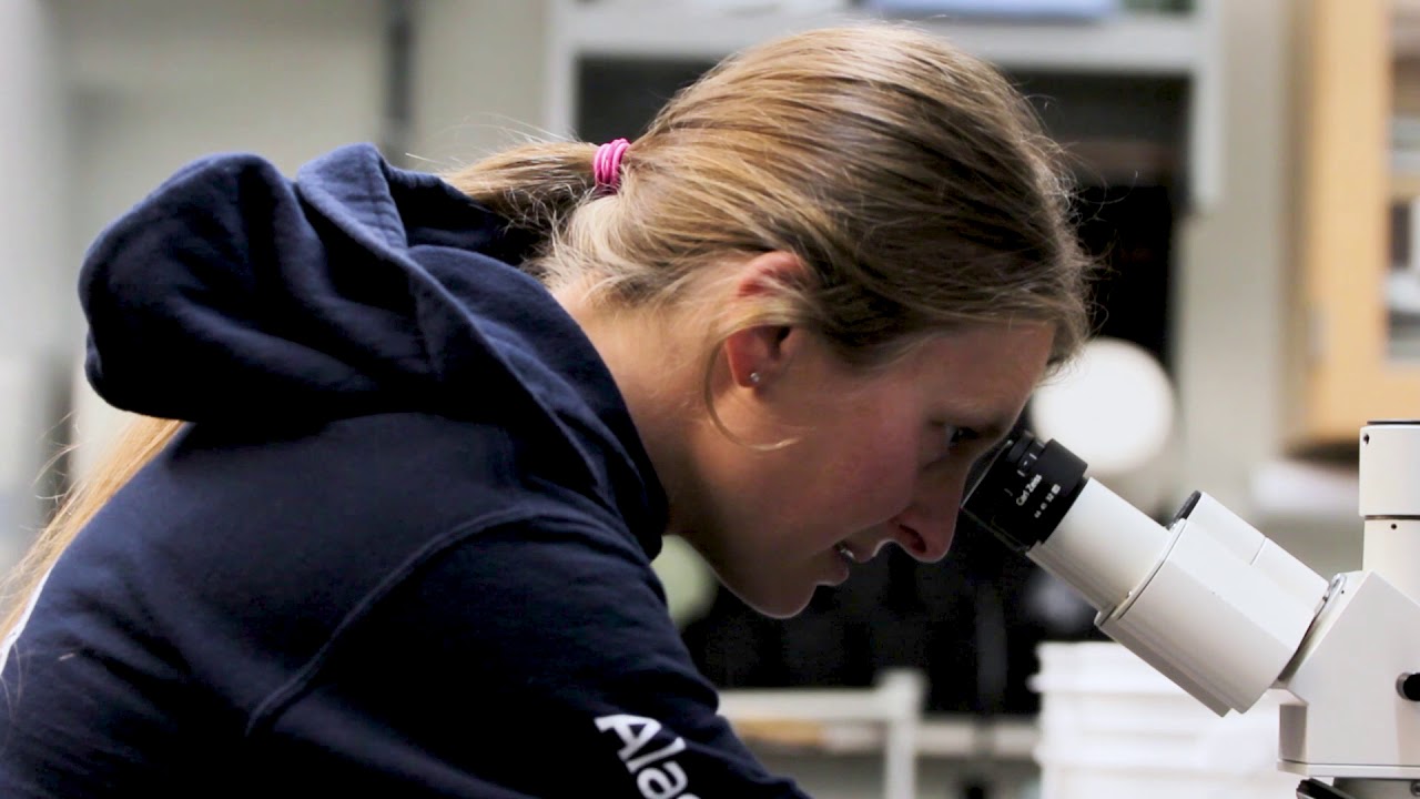 Science Spotlight - The Search for Phytoplankton