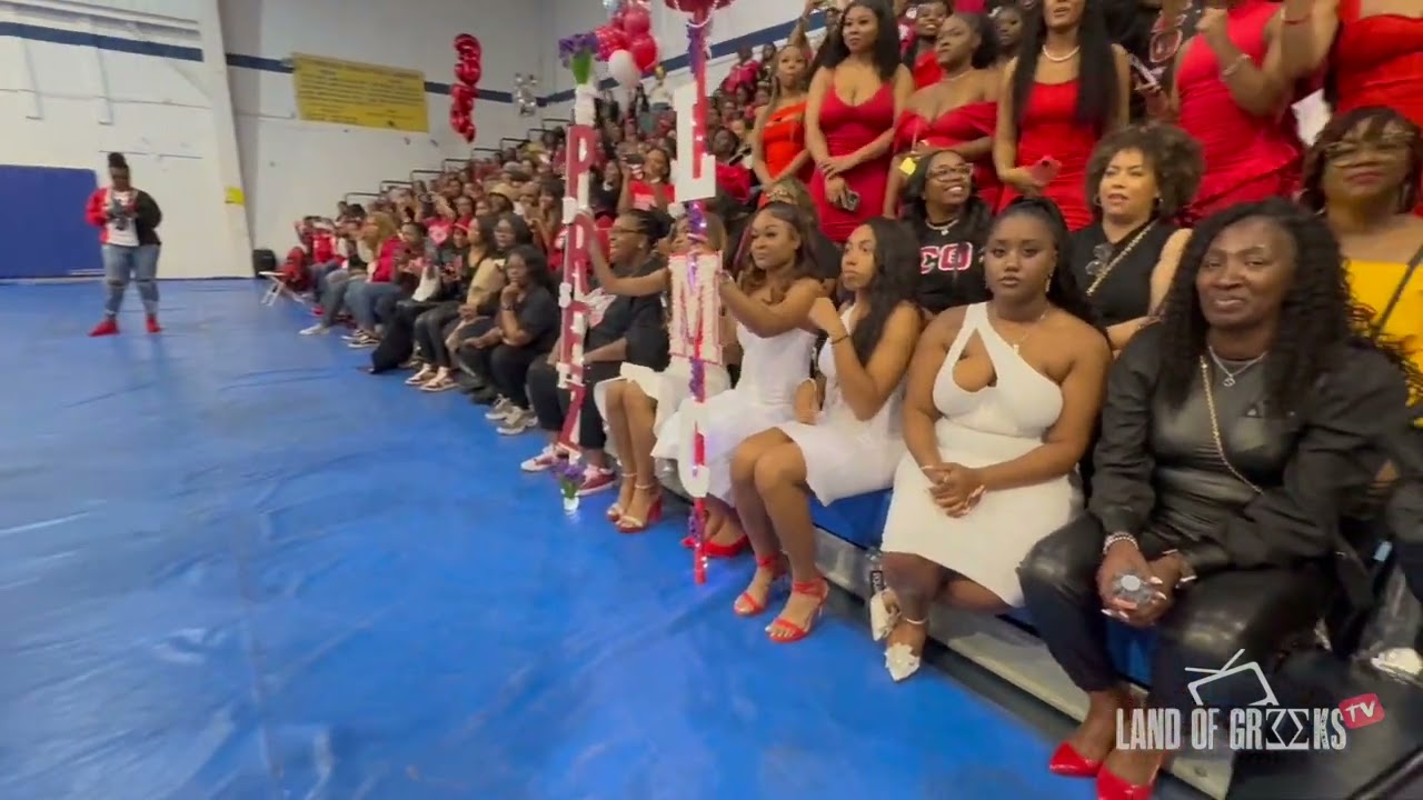 These Deltas Are Such A Delight! | Fisk University's Alpha Beta Chapter of Delta Sigma Theta Fall 23