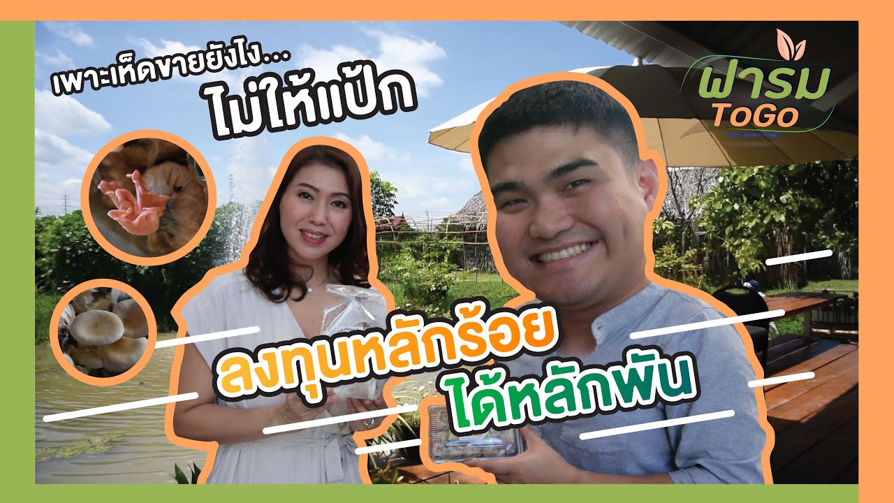 ฟาร์ม To Go EP.1 เพาะเห็ดขายยังไง...ไม่ให้แป้ก! ลงทุนหลักร้อย ได้หลักพัน !?!??