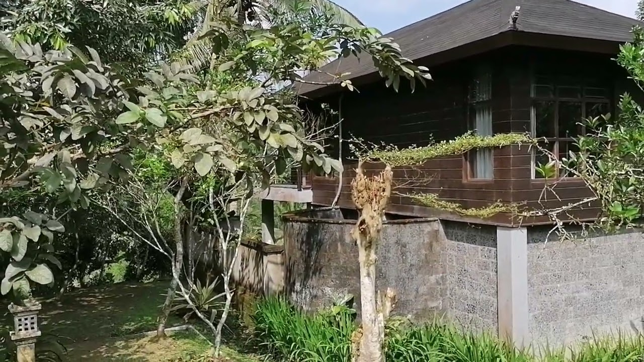 Bali, August 2025