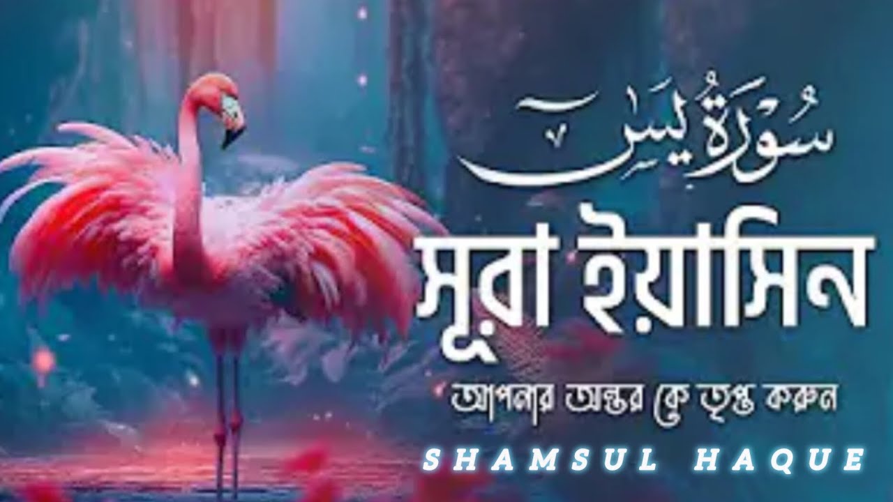শামসুল হকের হৃদয় শীতল করা আবেগময় কন্ঠে সুরা-ইয়াসিন তিলাওয়াত 