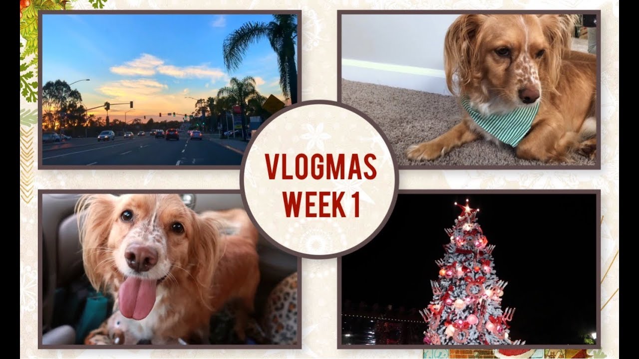 Vlogmas 2018 Week 1: WE ADOPTED A PUPPY!!