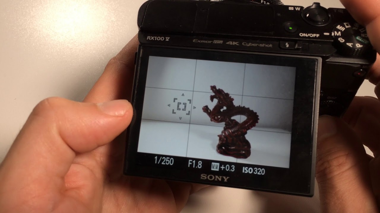 Sony autofocus areas explained on an RX100 VA (also for others)