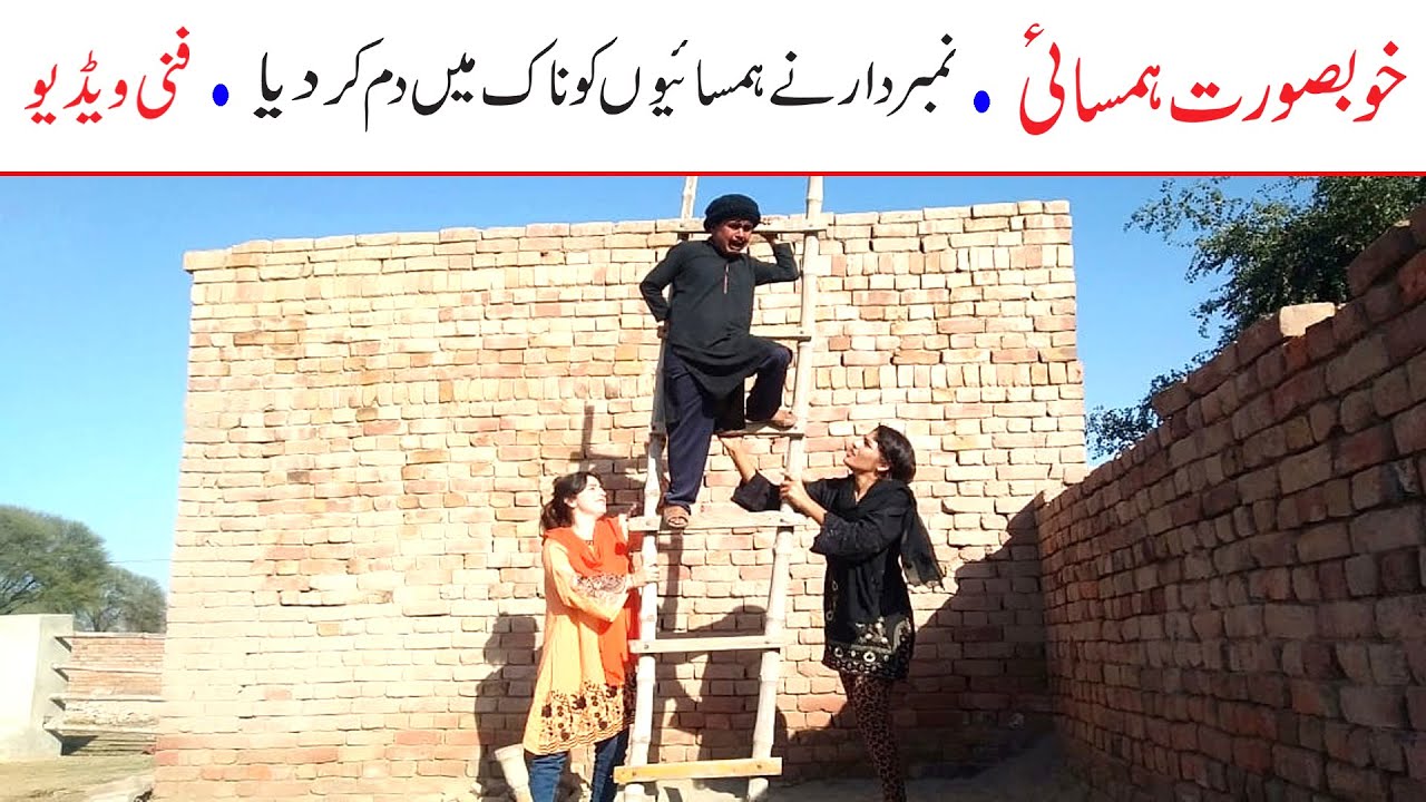 Number Daar  Khobsurat Hamsai Funny | New Top Funny | Must Watch Top New Comedy Video 2021 |You Tv