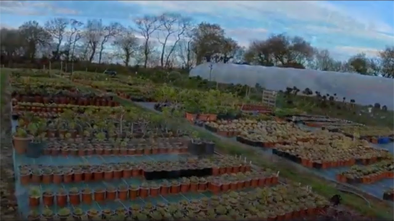 Petit tour à la production