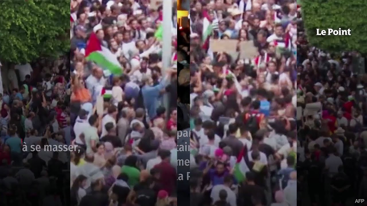 Tunisie : une francophobie d’atmosphère