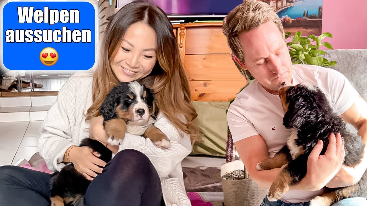 Das ist unser Welpe 😍 Perfekter Hund! Guten Charakter bei Z&uuml;chterin aussuchen! Mamiseelen