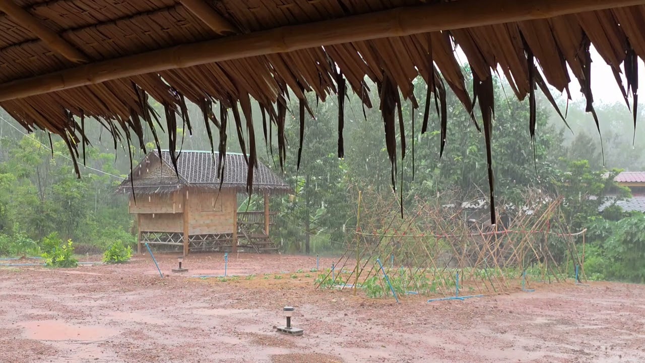 ฝนตกนอนกระท่อมไม้ไผ่ #บรรยากาศฝนตก