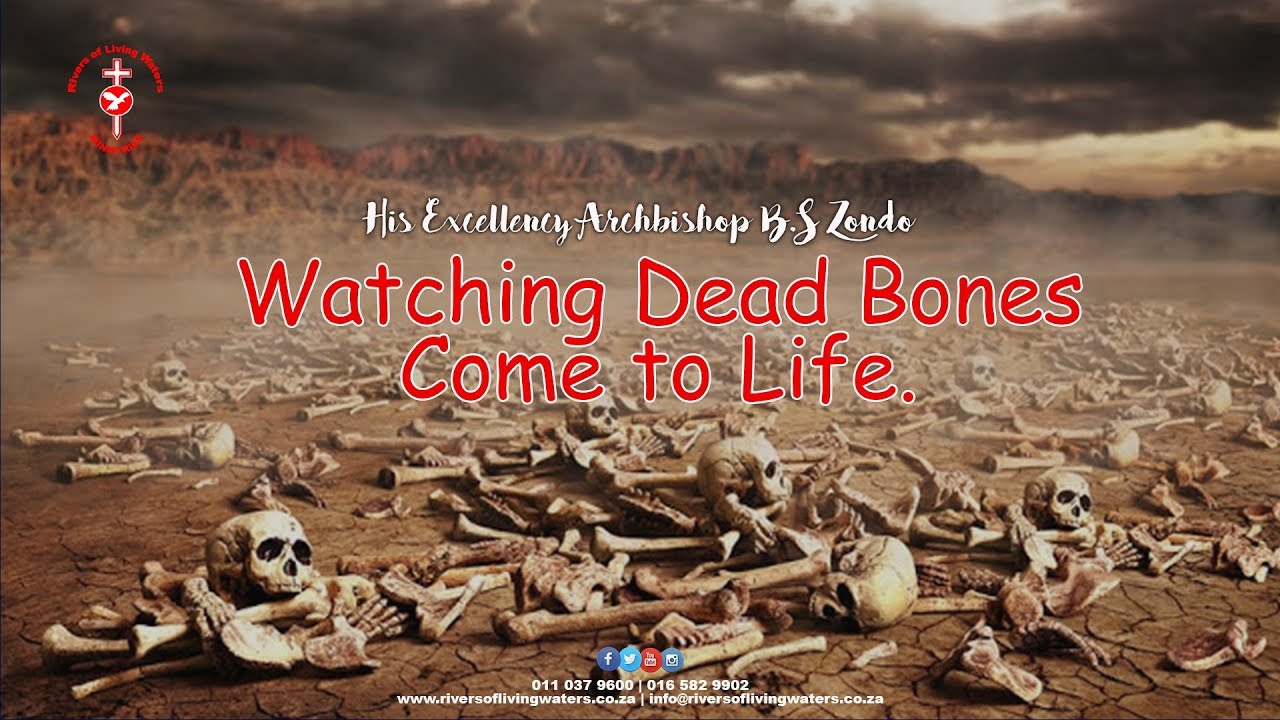 Watching Dead Bones Come To Life