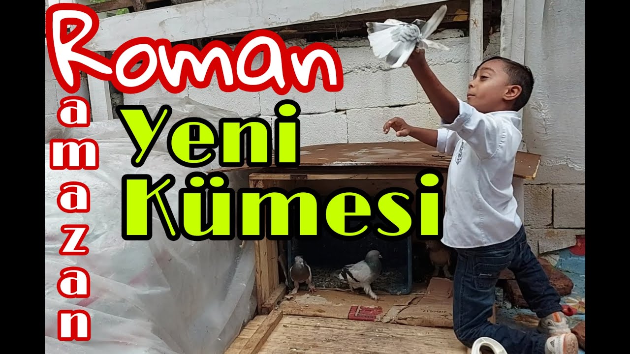 Roman Ramazanın Yeni Kümesi. Kuşbaz Çocuklar. Kuşçu Çocuklar. Derice Oyun Kuşu Kümesleri.