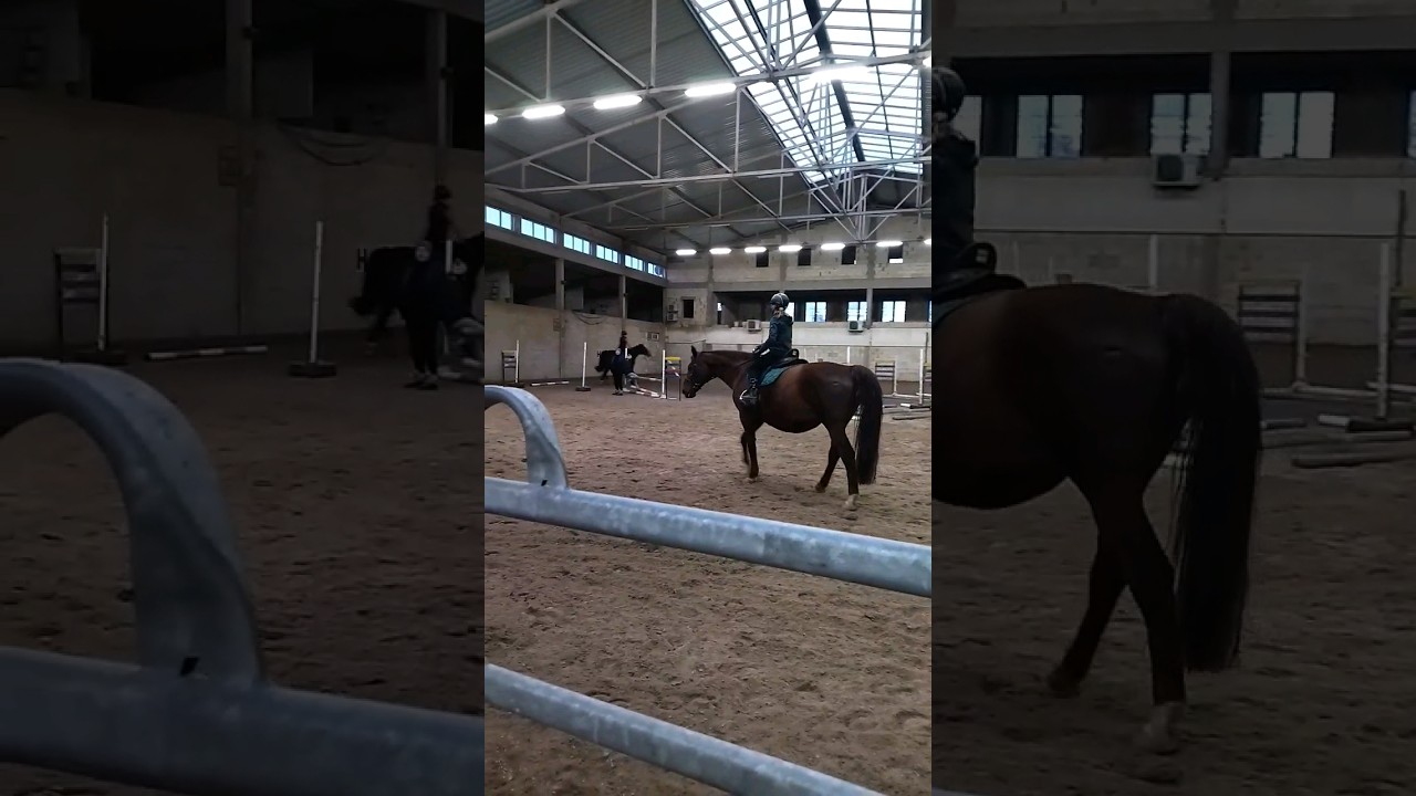 #stęp#kłus#galop#dziś Romcia#konie#edit