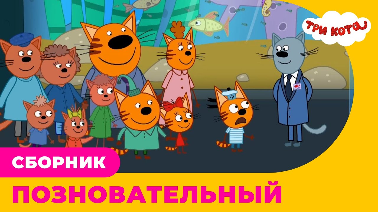 Три кота | Сборник ПОЗНОВАТЕЛЬНЫХ серий