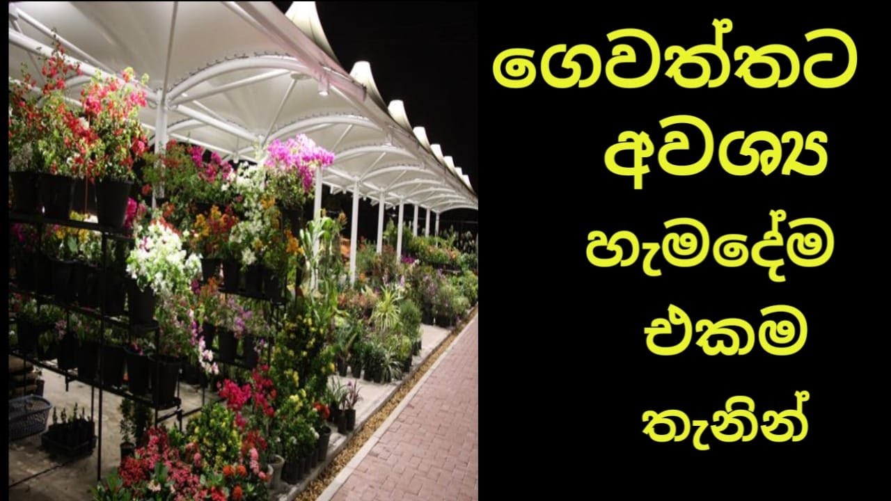 ගෙවත්තට අවශ්‍ය හැම දේම එකම තැනින් දියත උයන