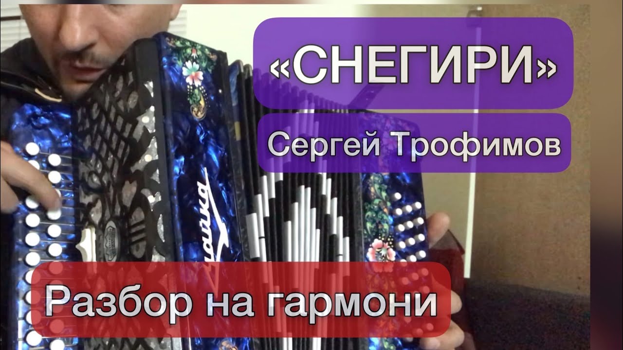 «Снегири», Трофимов Сергей. РАЗБОР на гармони. 