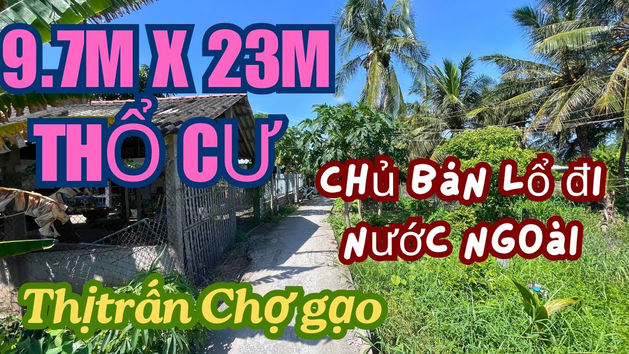 MS2002: Hết 250 triệu, 9.7m x 23m thổ cư Chợ Gạo 