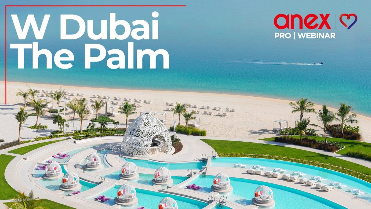 W Dubai The Palm. Самые горячие новости отеля!