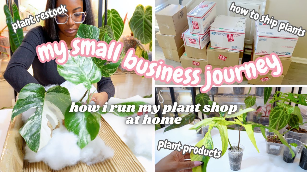 Small Business Journey: Rare Plant Restock,Soil Free Aroid Potting Mix,Watering & Fertilizing Plants