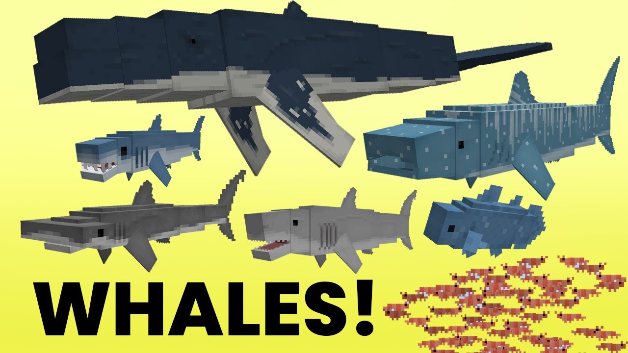 Judging whales in Minecraft for 8 minutes (Deep Blue Mod)