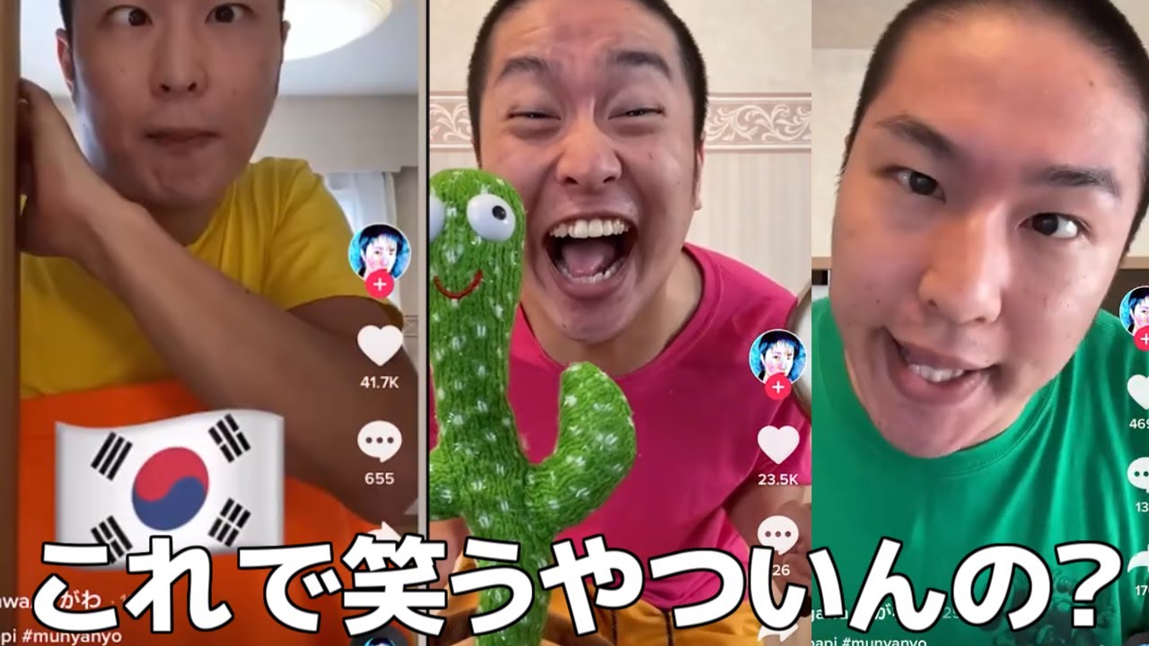 こんなやつが面白いとされるTikTokとかいうアプリどうかしてるだろ