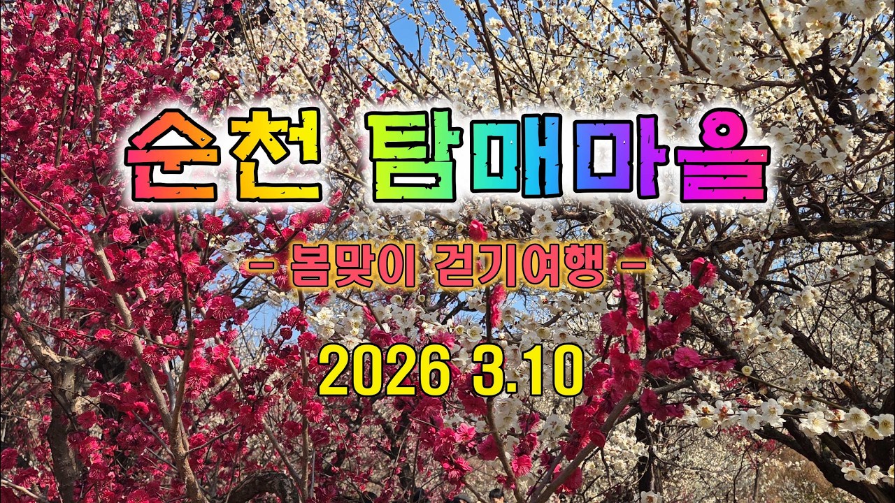 2026 3.10  순천 탐매마을 트레킹 - 순천복음교회 정원 / 매곡등 성지순례길