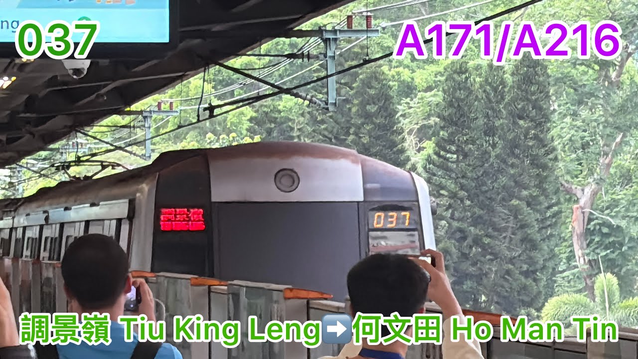 [再見171/216] 觀塘綫 KTL M-Train A171/A216 [調景嶺 Tiu King Leng➡️何文田 Ho Man Tin] [HD]