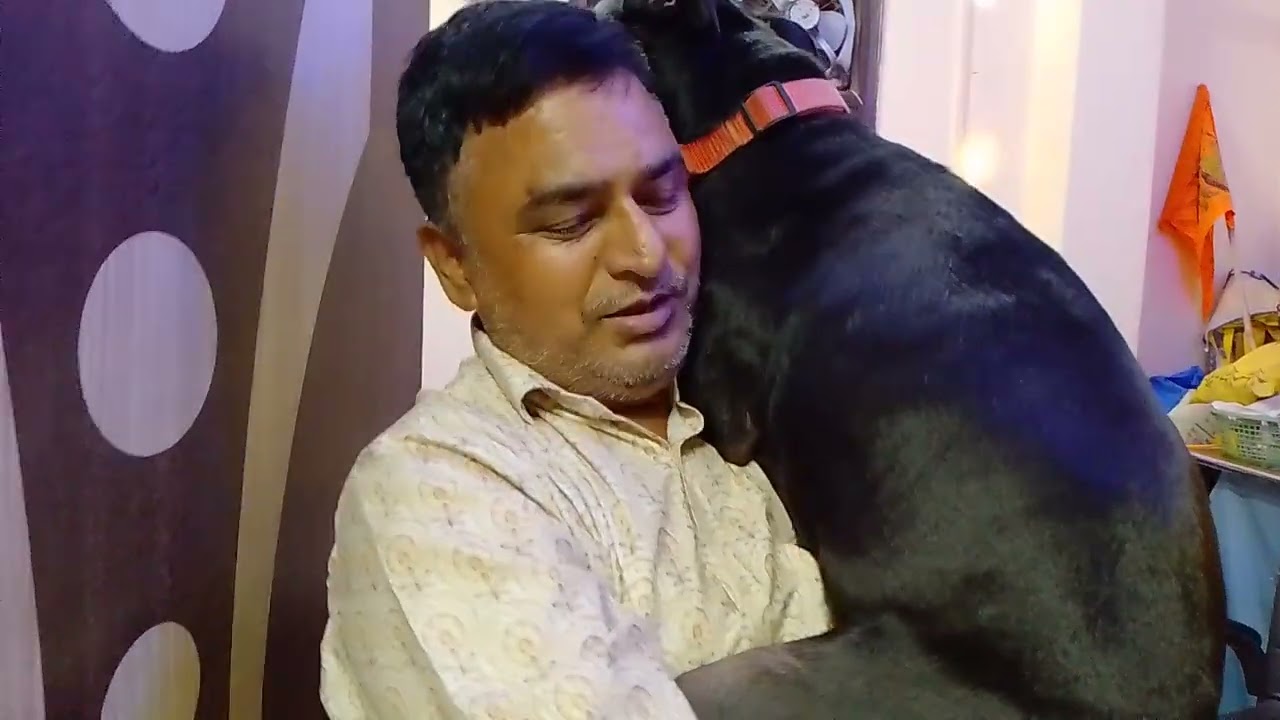 सच्चा प्यार करते हैं बेजुबान कैसे बता रही हैदेखो 🐶🥰#dog#video#viral#YouTube#punctual cherry#trending