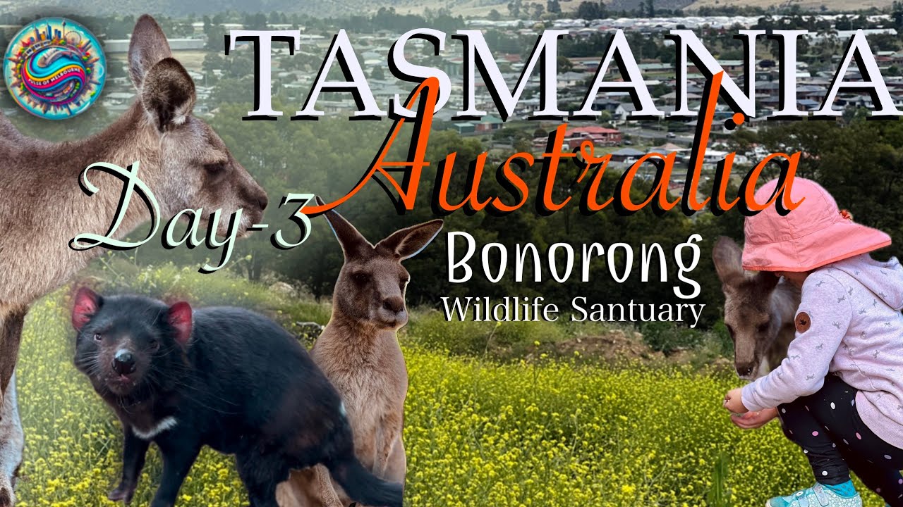 Exploring Bonorong Wildlife Sanctuary | Meet Australia&rsquo;s Unique Wildlife