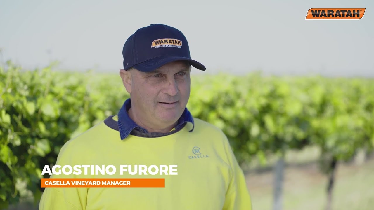 Steel trellis solutions from Waratah for Casella wines