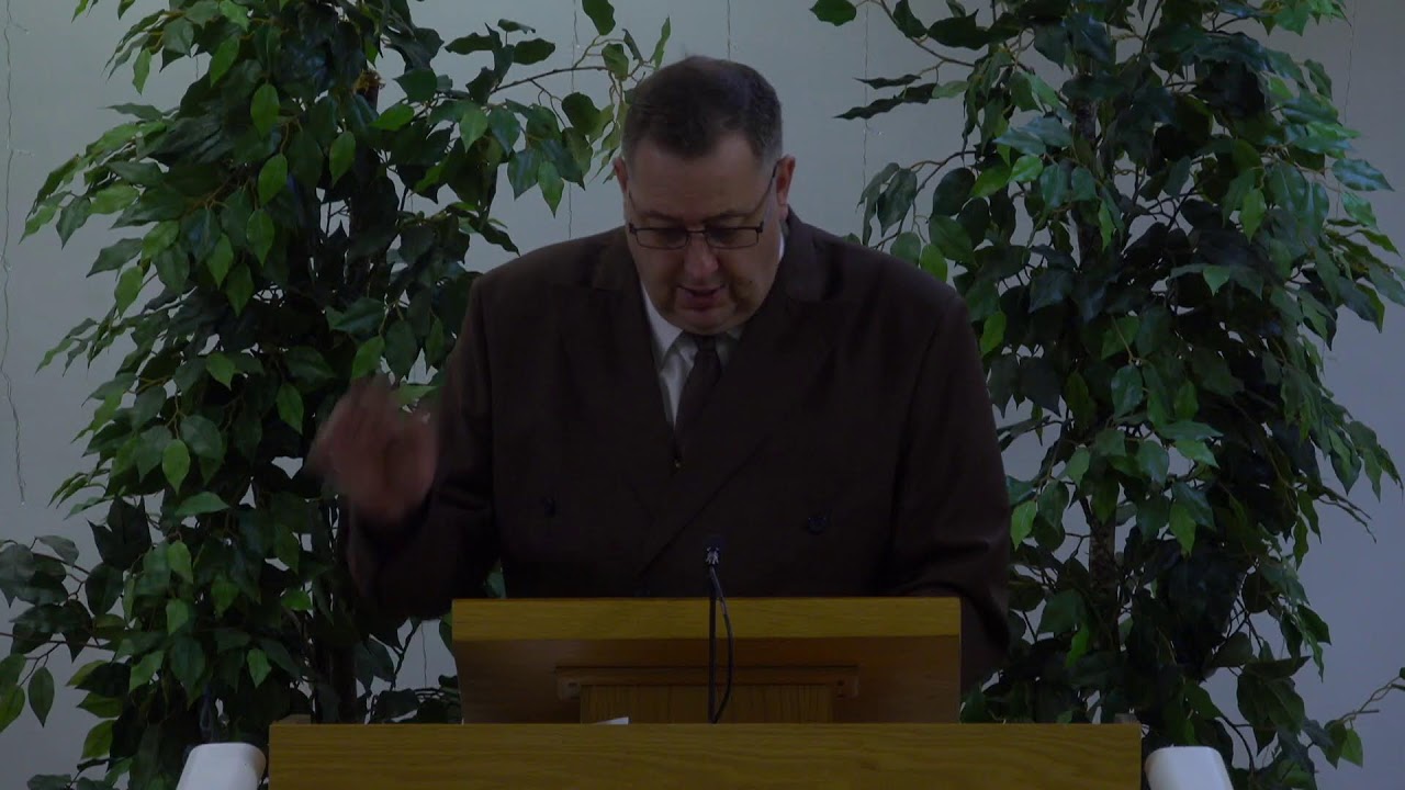 CBC Edmonton Live Stream Service
