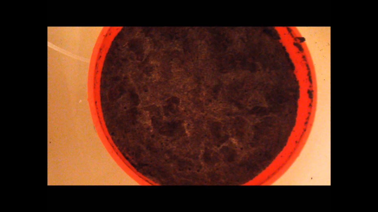 How To: Make a Coco Hempy Bucket