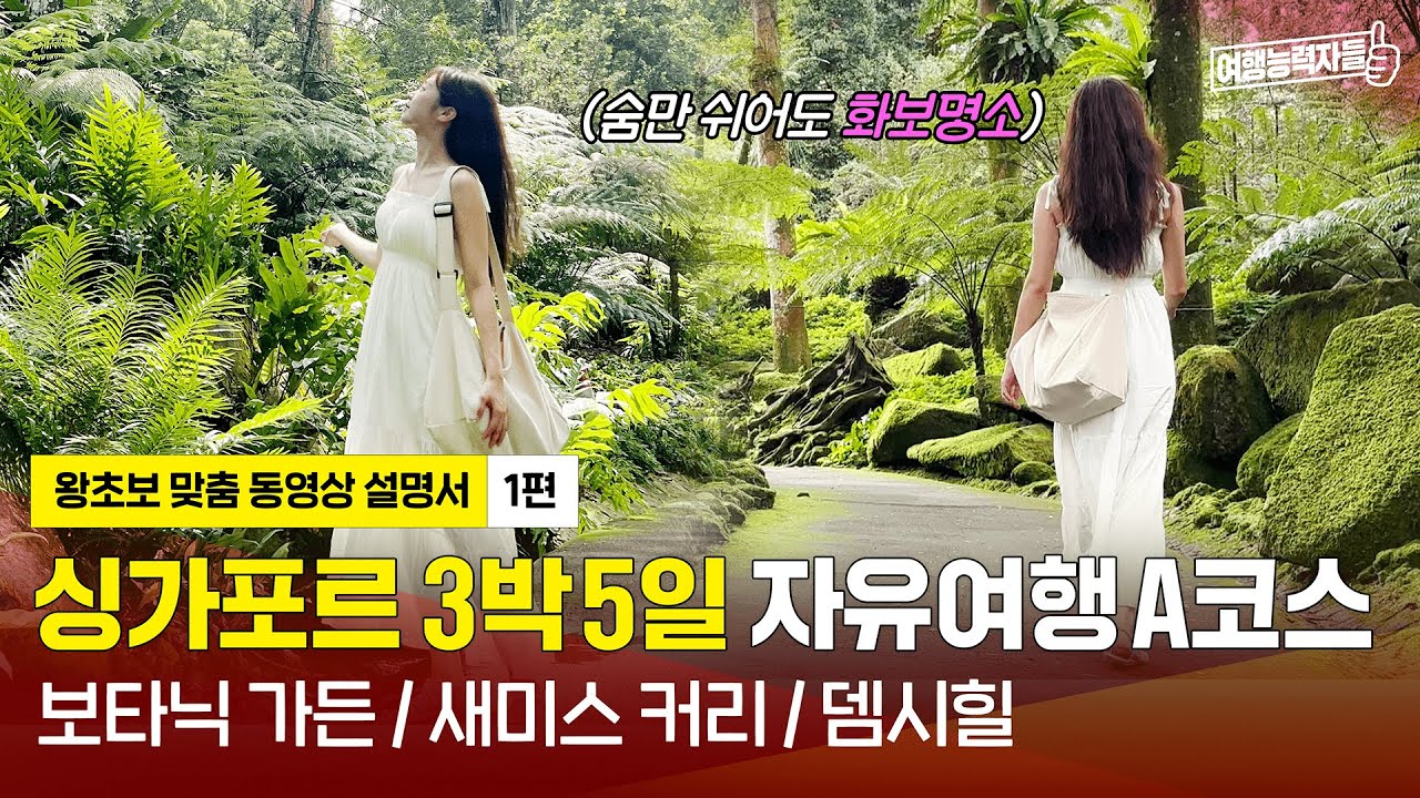 [🇸🇬싱가포르 자유여행 1편(A코스/2023)] 힐링여행 보타닉가든,뎀시 힐 맛집까지 | 싱가포르여행,싱가포르자유여행,싱가포르여행지,싱가포르맛집(광고포함)