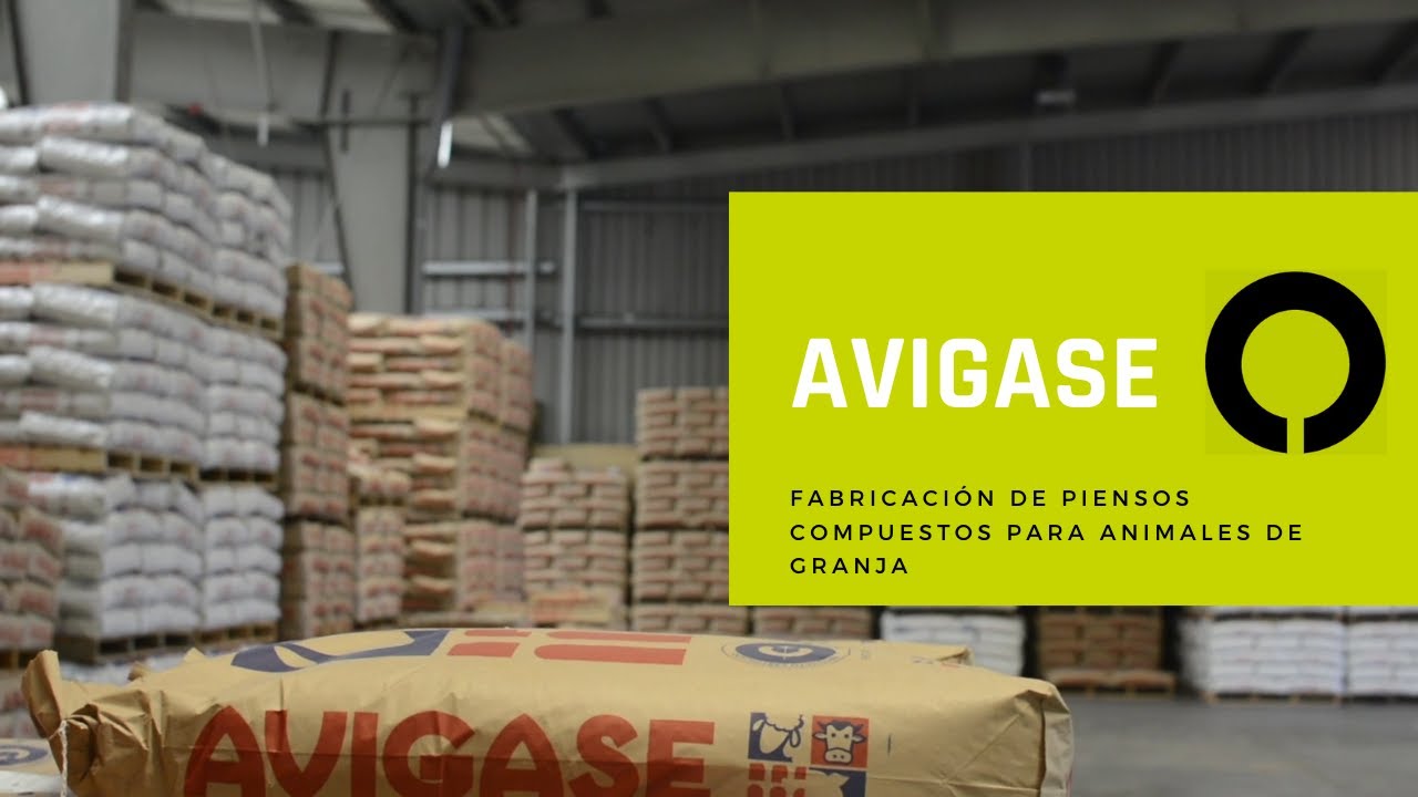 AVIGASE: fabricación de piensos compuestos para animales de granja