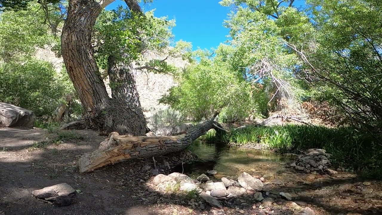 Nevada: Peavine Canyon