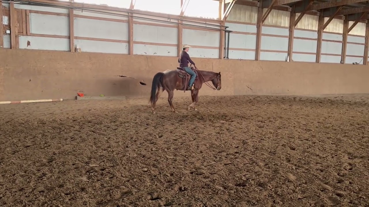 Kori Goldenberg and Daquin Dynamite WTL