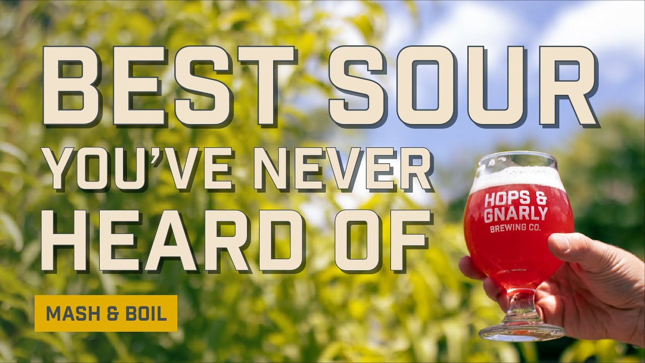 BEST Sour You've NEVER Heard Of | Midwest Fruit Tart | Mash & Boil | EP30 | Hops & Gnarly