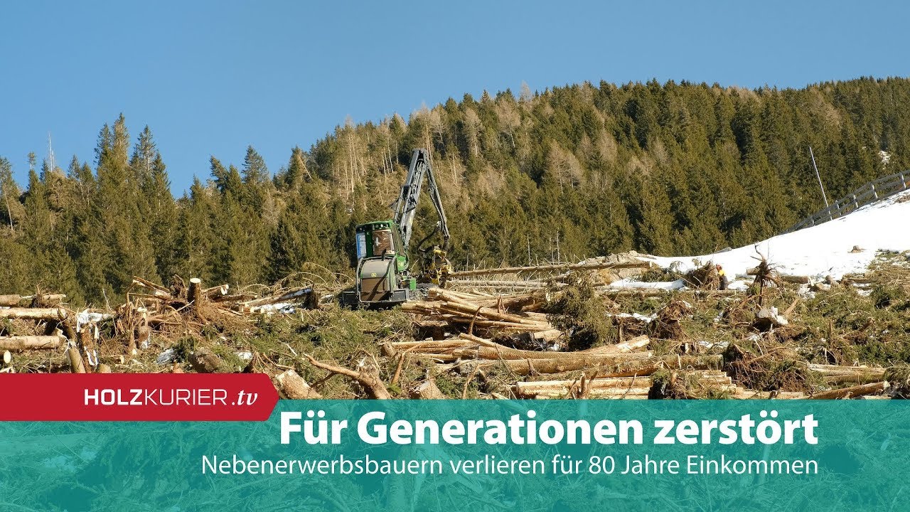 Wald f&uuml;r Generationen zerst&ouml;rt