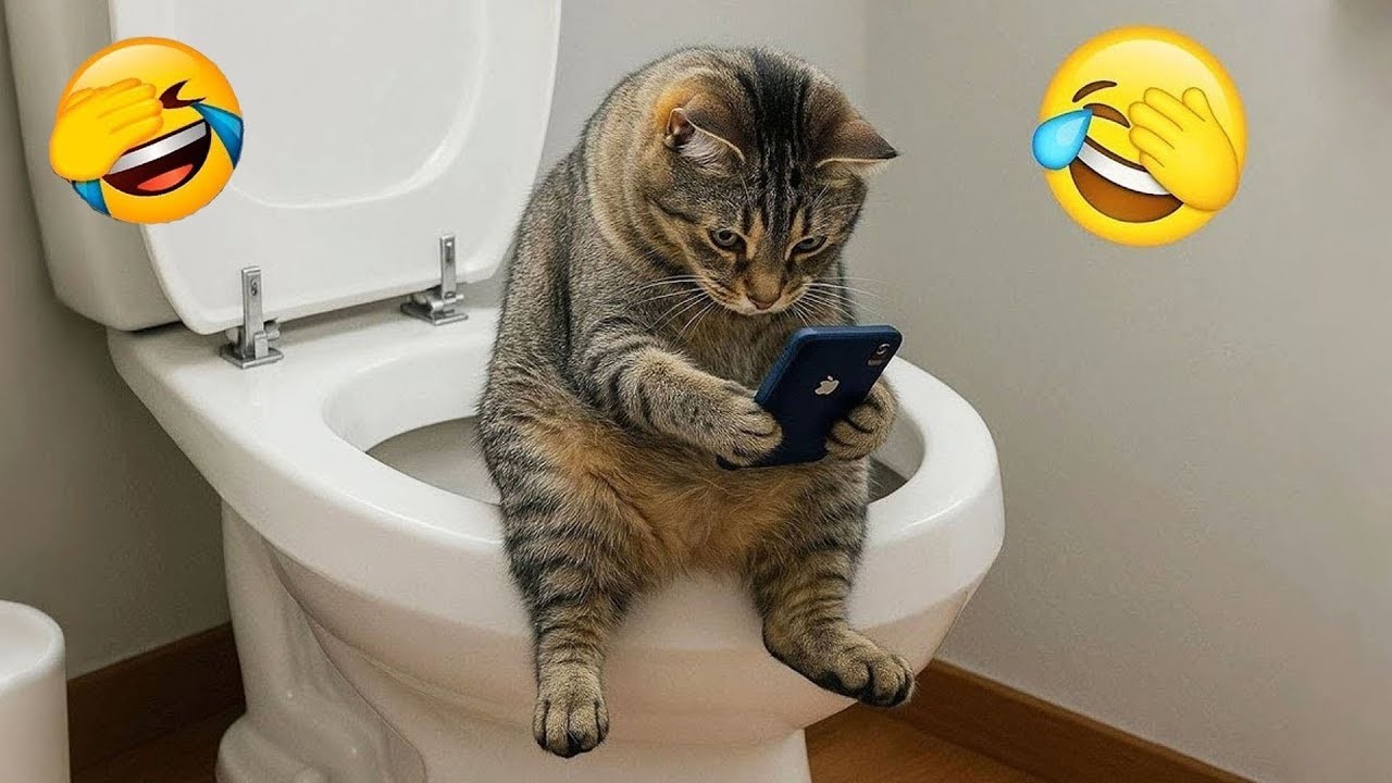 Try Not To Laugh😜 Funniest Dogs and Cats Clips of 2026😼🐶