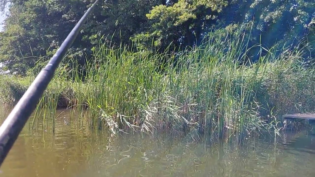 Łowie ryby z Łodzi na spławik 