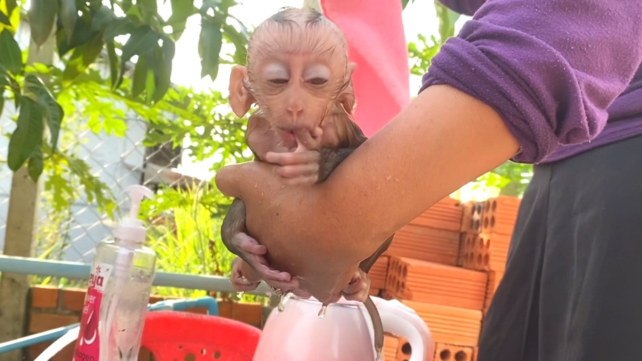Oh god!! Mom took her adorable LIORA to bathe after she played with mud``