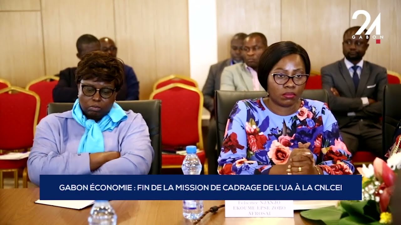 GABON &Eacute;CONOMIE   FIN DE LA MISSION DE CADRAGE DE L&rsquo;UA &Agrave; LA CNLCEI