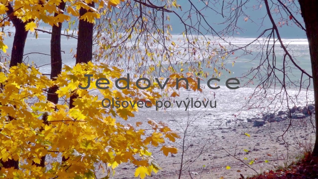 Rybn&iacute;k Ol&scaron;ovec, Jedovnice